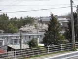 仮設住宅 仮設住宅